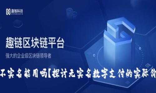 数字钱包不实名能用吗？探讨无实名数字支付的实际价值与风险
