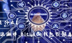 Bitbase钱包是什么？在数字货币的浪潮中，Bitbas