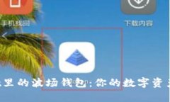 探索tpWallet里的波场钱包：你的数字资产管理新选