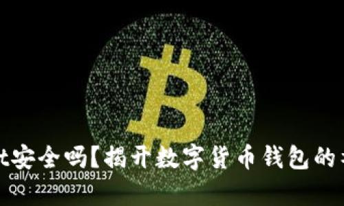 tpWallet安全吗？揭开数字货币钱包的神秘面纱