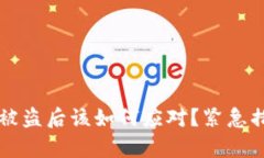 tpWallet私钥被盗后该如何应对？紧急措施与安全提