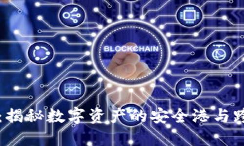 海外TPWallet：揭秘数字资产的安全港与跨境支付新机遇