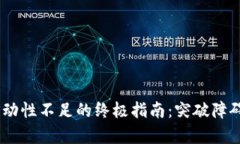 解决tpWallet显示交易流动性不足的终极指南：突破