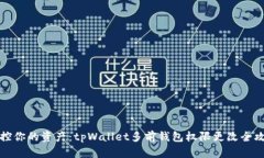 掌控你的资产：tpWallet多前钱包权限更改全攻略