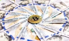 免费下载TP软件2024最新版本：如何安全高效获取