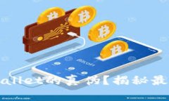 如何快速识别tpWallet的真伪？揭秘最新检测方法与