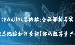 如何查看tpWallet总地址：全面解析与实用指南tp