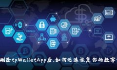 意外删除tpWalletApp后，如何迅速恢复你的数字资产