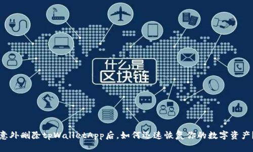 意外删除tpWalletApp后，如何迅速恢复你的数字资产？