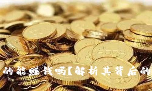 tpWallet租赁真的能赚钱吗？解析其背后的盈利模式与风险