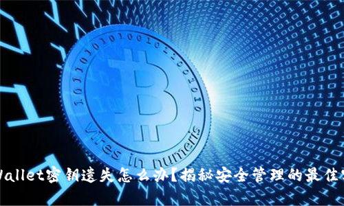 tpWallet密钥遗失怎么办？揭秘安全管理的最佳实践