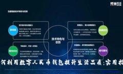 如何利用数字人民币钱包提升生活品质：实用指