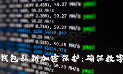 如何为你的钱包私钥加密保护：确保数字资产的安全